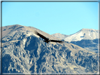 foto Canyon del Colca